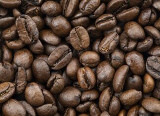 Co wchodzi w skład środków trwałych?