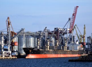 Czy można mieć spółkę i działalność?