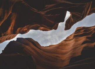 Jakie są formy spółki?