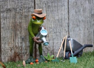 Jaki abonament dla dwojga?