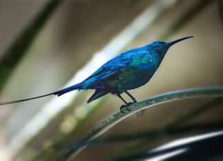 Czy mogę wziąć fakturę za wyjazd na wakacje?