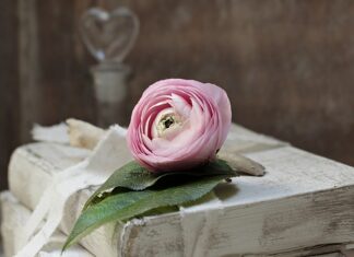 Kto odpowiada za zobowiązania?