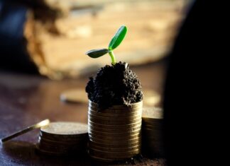 Jak uniknąć podatku od dywidendy?