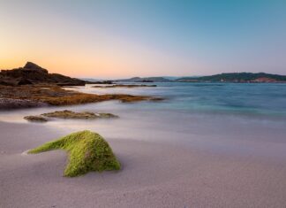 Ile za godzinę pracy 2023 netto?